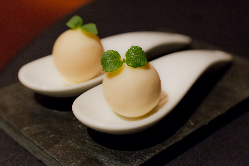 14_ecco_ascona_giardino_rolf_fliegauf