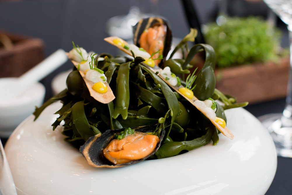 8_ecco_ascona_giardino_rolf_fliegauf