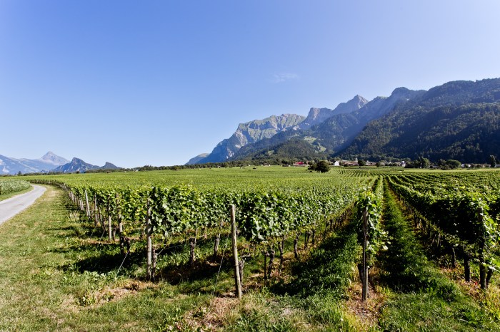 Weingut_Eichholz_Jenins_Irene_Gruenenfelder_1