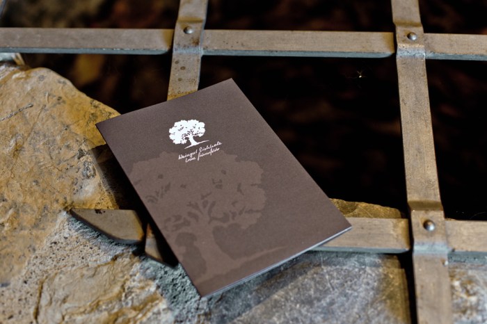 Weingut_Eichholz_Jenins_Irene_Gruenenfelder_13