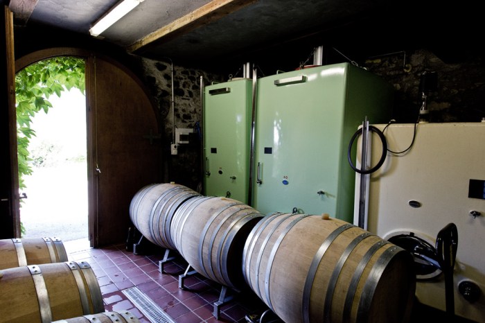 Weingut_Eichholz_Jenins_Irene_Gruenenfelder_7