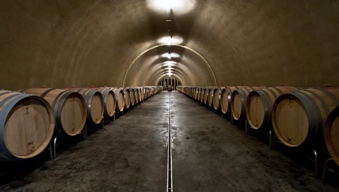 gantenbein_wein_flaesch_8