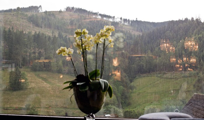 schwarzwaldstube_harald_wohlfahrt_baiersbronn_22