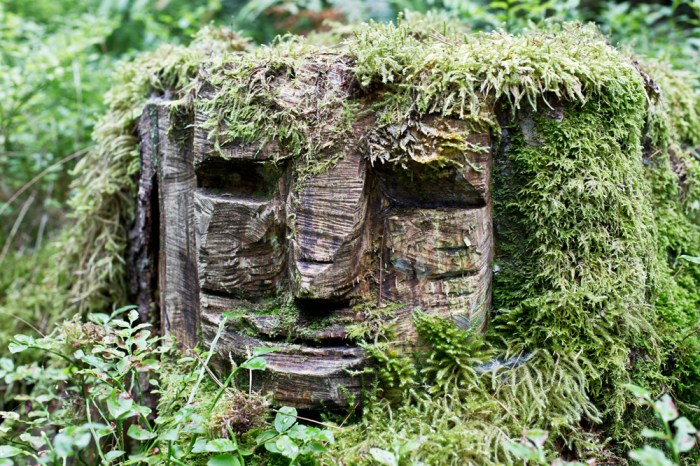 traube_tonbach_baiersbronn_17