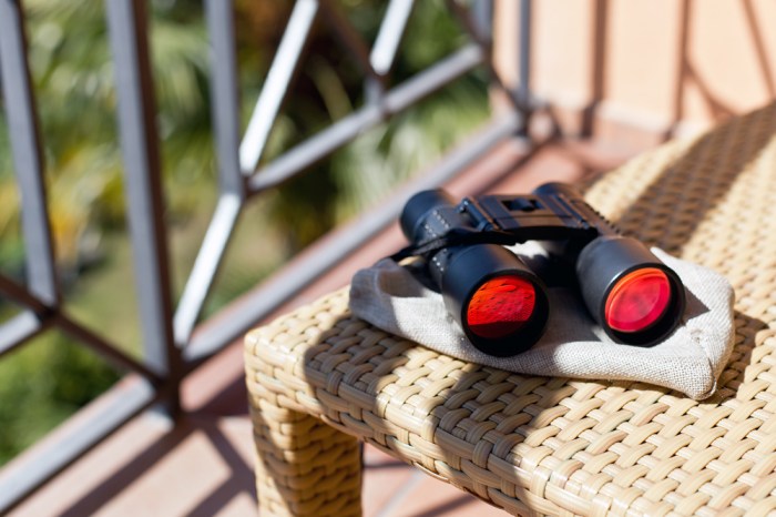 Villa_Orselina_Locarno_20