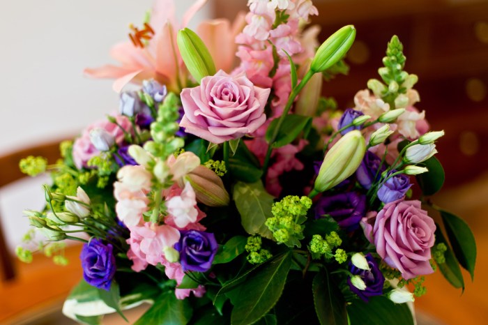 castello_del_sole_ascona_tessin_16