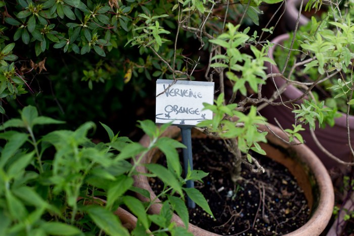 castello_del_sole_ascona_tessin_54