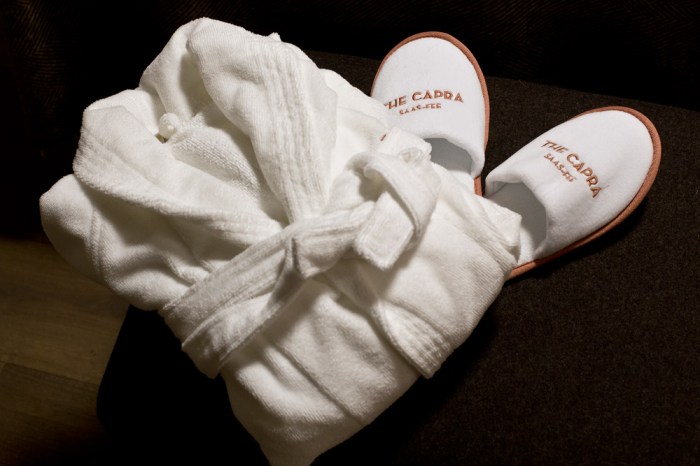 the_capra_saas_fee_31