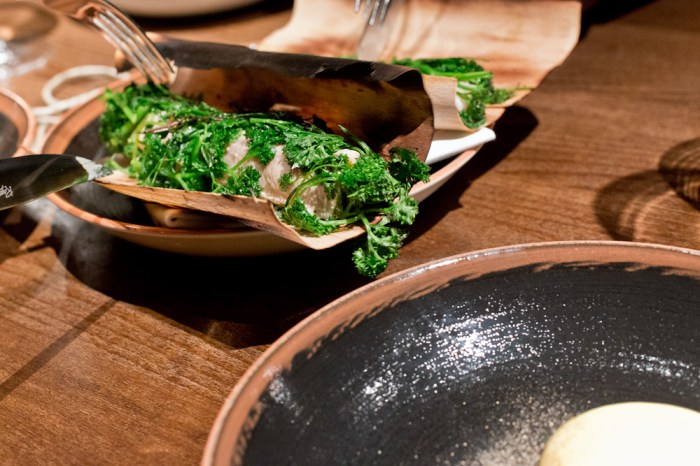 eisblume_worb_simon_apotheloz_14